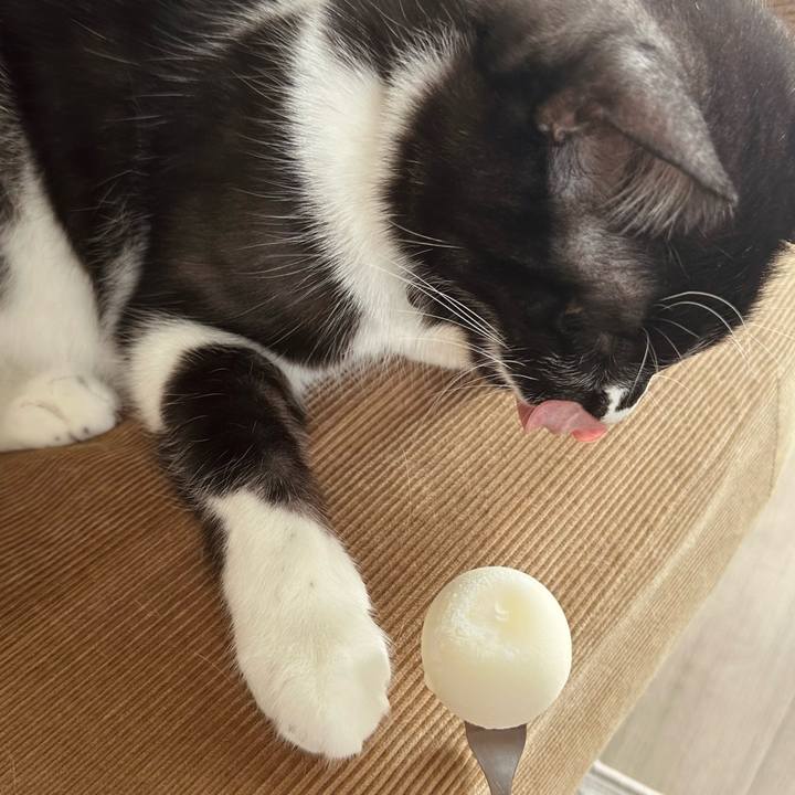 E564cfcc 3867 4428 a7bc 27c8fa238af1 1775275122141