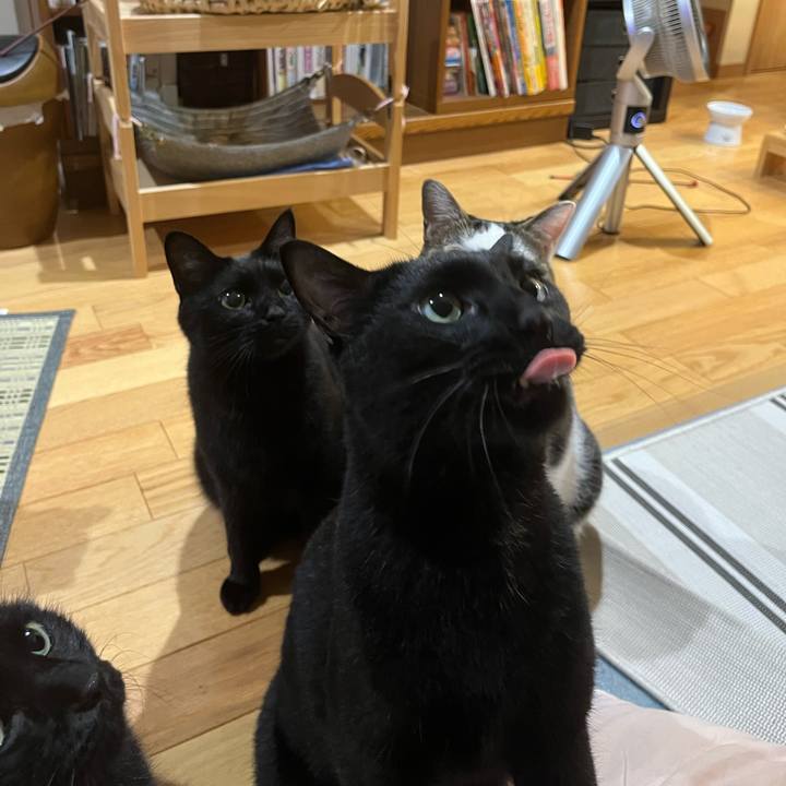 E564f0d6 2793 44d5 9aab fc1cb7bd0784 1660740857929