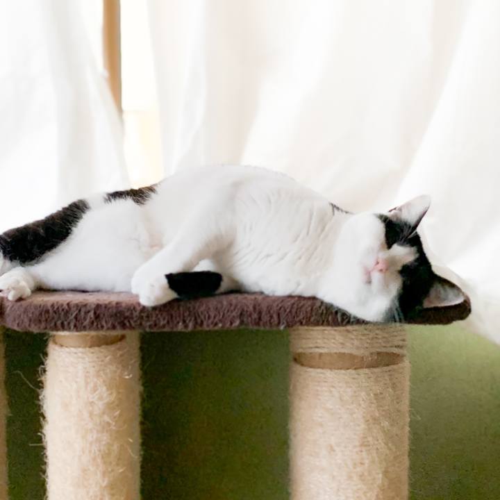 E5650393 c255 4db1 9ba1 ff5ee0bed2e0 1581209390201