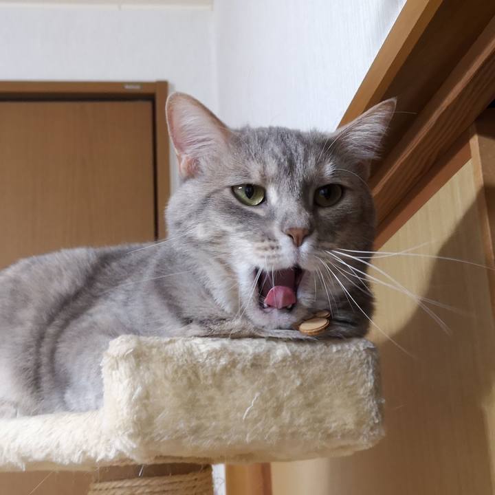 E565169f 74f9 4abf 93db 65afa95fac30 1558533191433