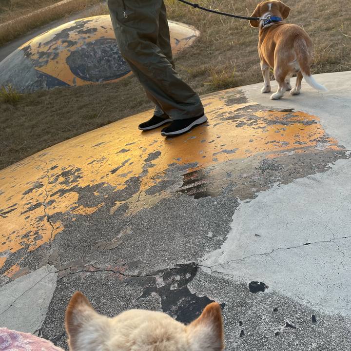 E5652a09 74ef 4c16 a6d5 d1afc57568ba 1673856333036