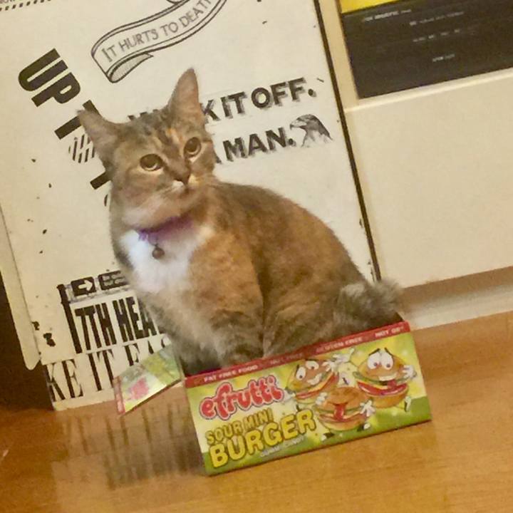 E5654809 e8b4 4ee2 80df 03f0ae8fd6b7 1567962323263