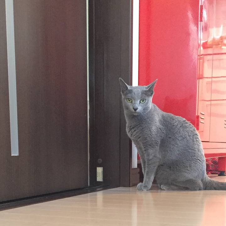 E5654f71 b0da 4ae9 8c6c 3eabdeb8d01a 1549283810665