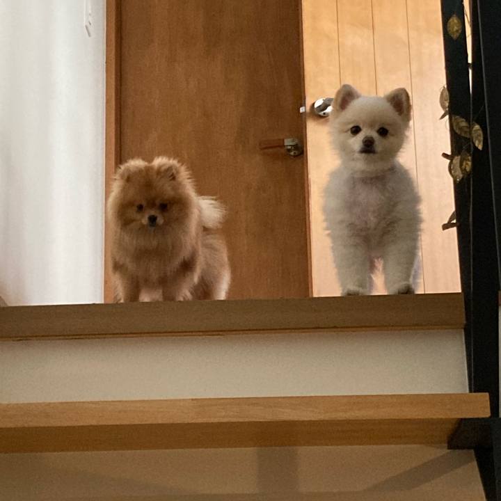 E5655adc 49be 4a23 907a e309acb5e3e1 1649806546081