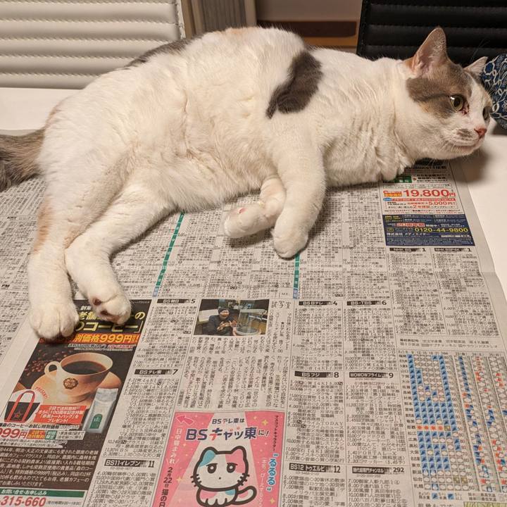 E56563c0 fcb4 44ba 942b 1cdb3652f27a 1708577043505