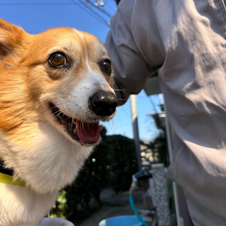 E56586d0 c040 4b85 84a3 35d33ac6ab6b 1771035695932