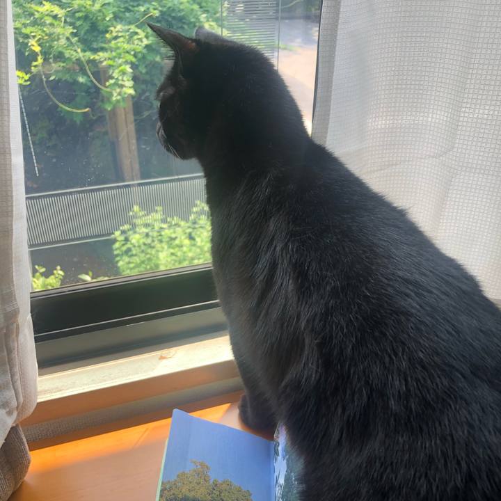 E5658d74 4822 4aff 956a 23676dafcc7b 1632558073897