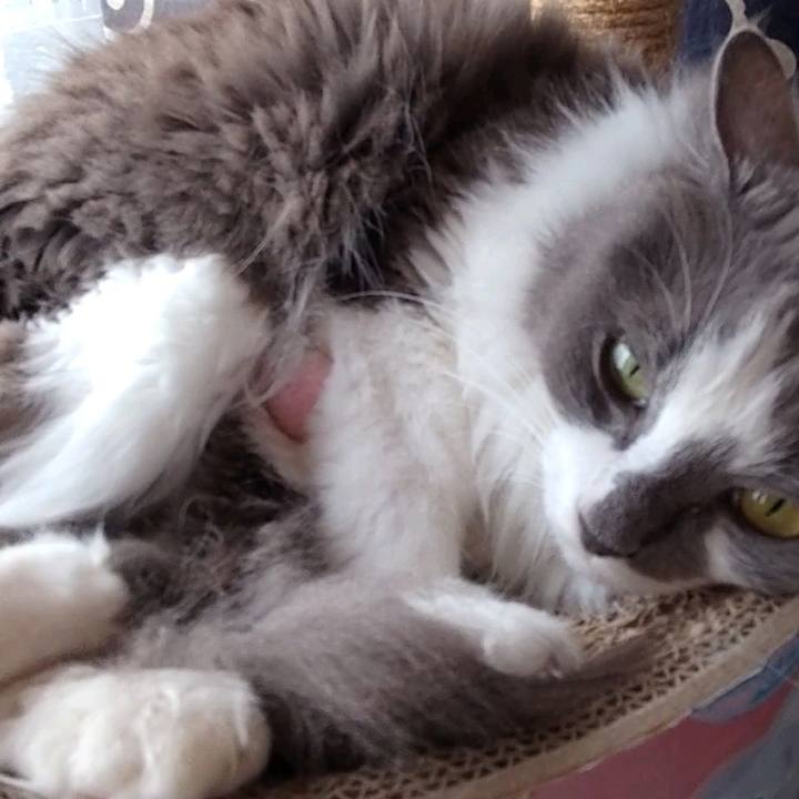 E565ca10 e2c9 483a 952a f4400ee6842a 1663043452383