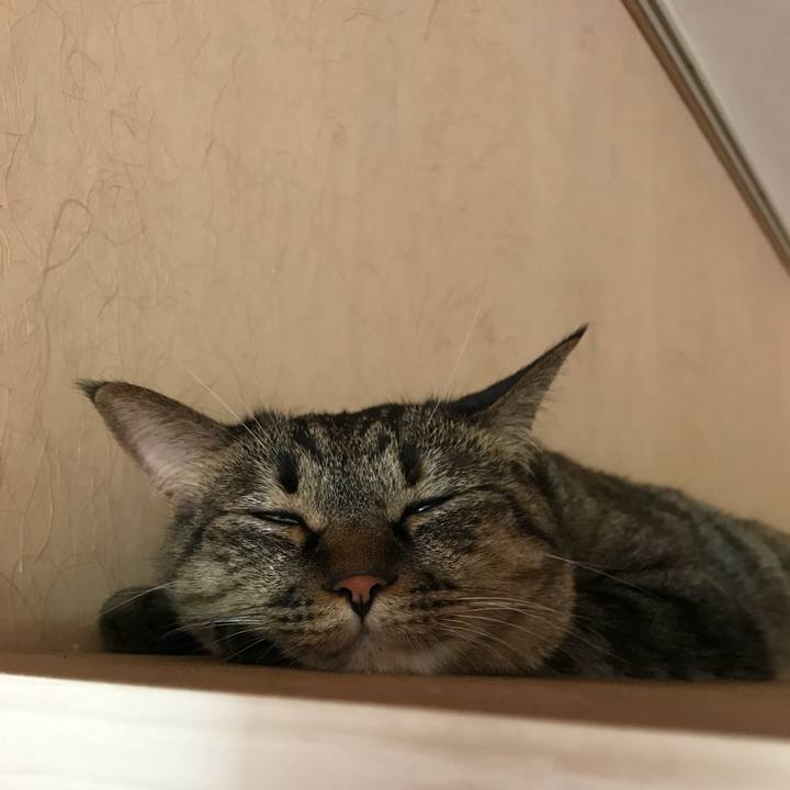 E565d8d8 358f 44cc 9aee c5a188fe0935 1532262188696