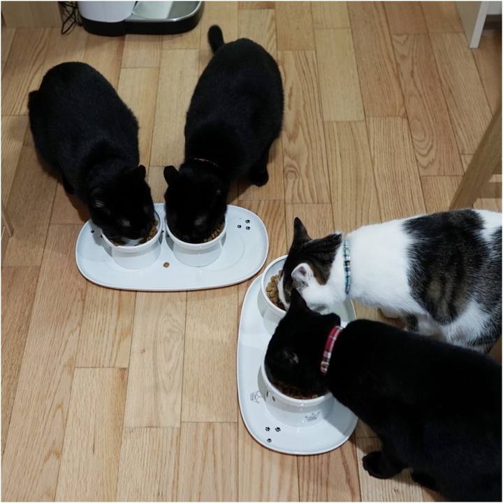 E565f41f db04 4200 a0cf b300bb341a9a 1560155742198