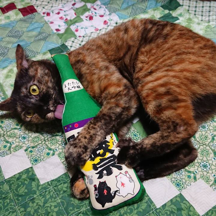 E56615c0 55bd 4b57 91af 88692d4a8c23 1550920359980