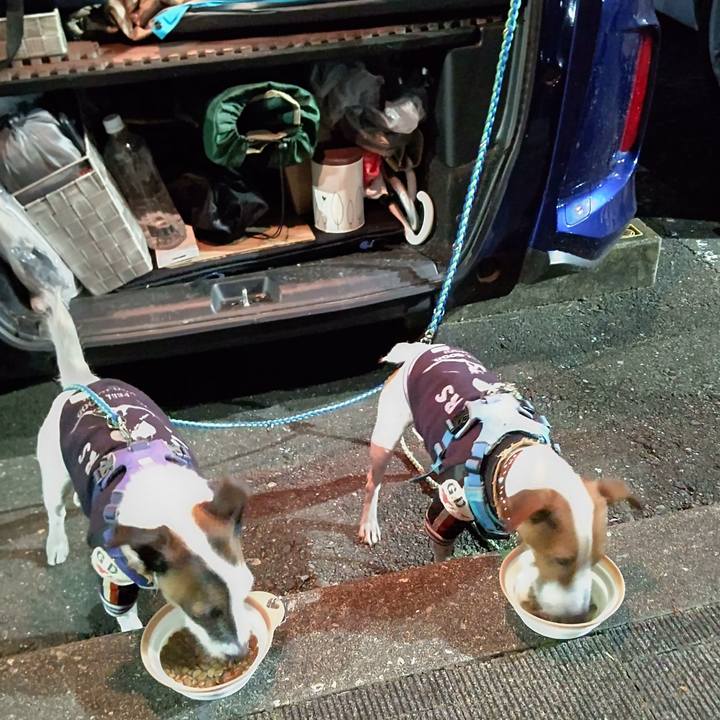 E5662903 a9bc 4cea 88c4 c16035b032a6 1638009685012