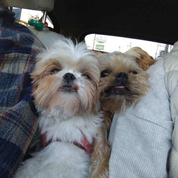 E56632a7 7754 4101 a23d 55340ac3354a 1605335309519