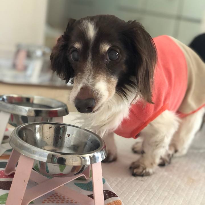 E5664c61 3a13 48ad ae2b 0a495f5c7d8f 1622498390363