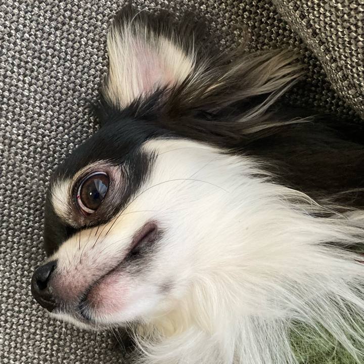 E5666398 e000 44b7 9fe9 e58ae4f6206b 1613257283913