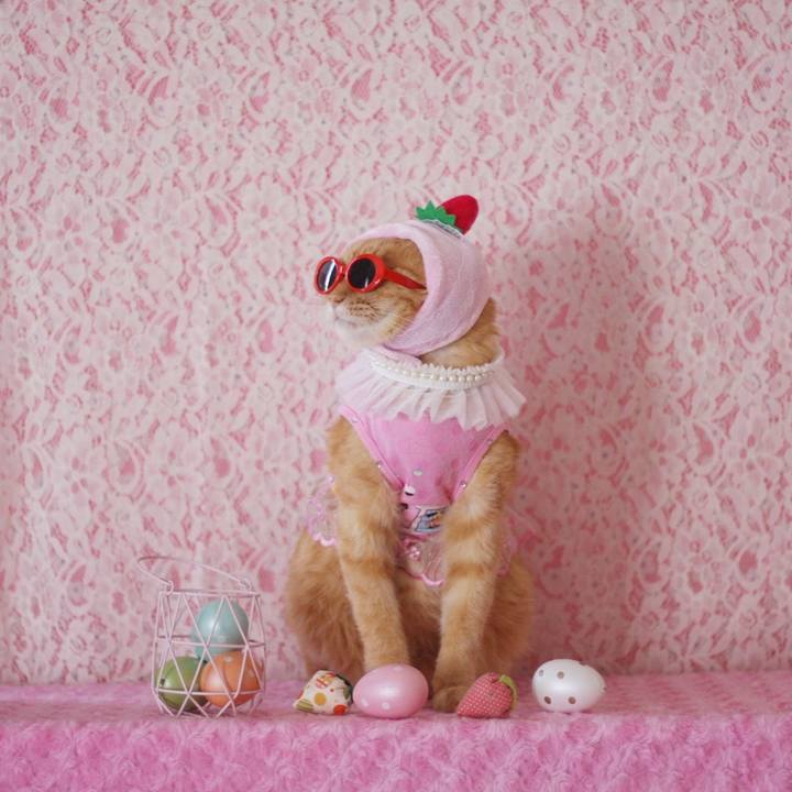 E566692c 6100 466a 9fb9 0b26a8b11c07 1656825483441