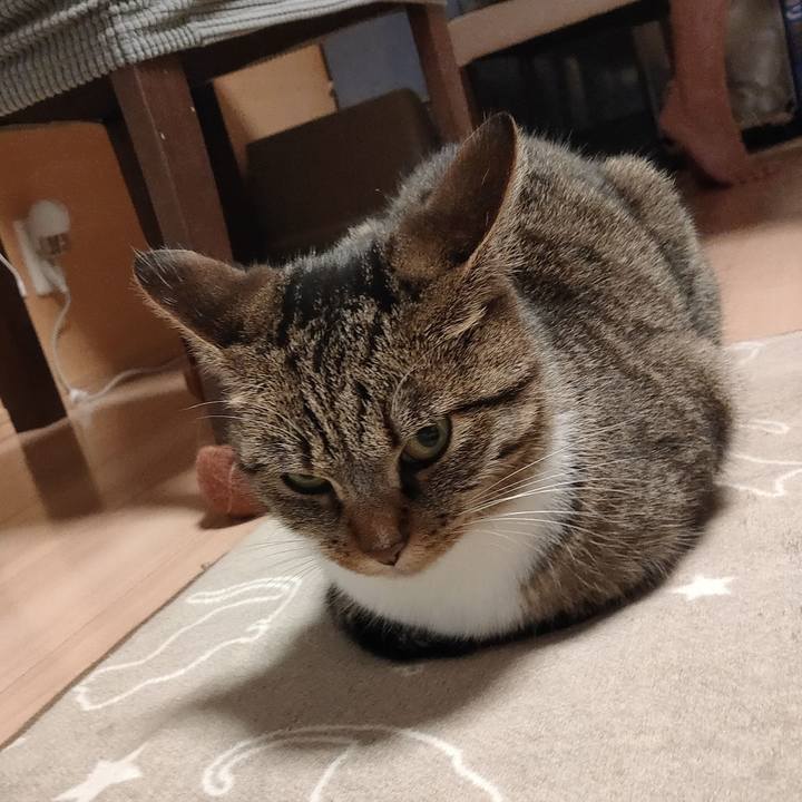 E5666c40 12d5 41ca ac5d 95e38ada9827 1683454719028