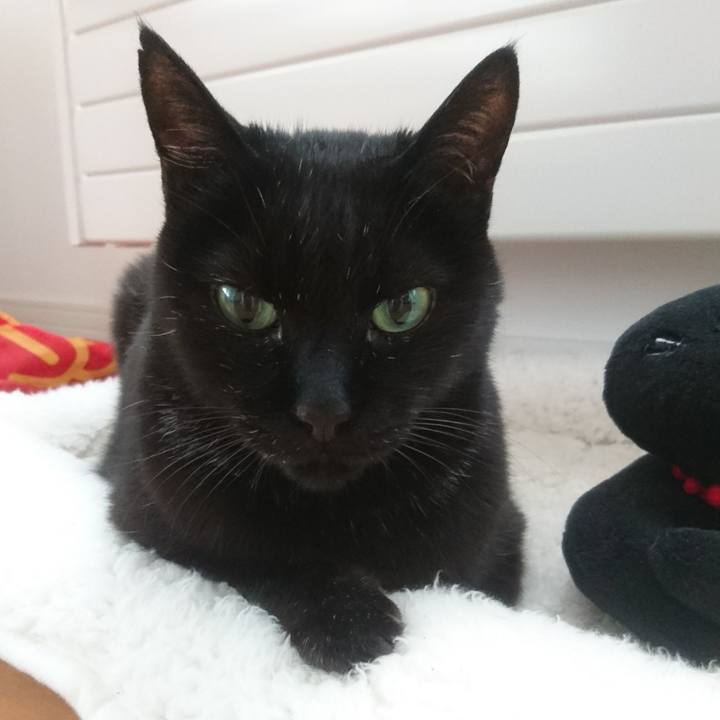 E5669cdb d691 469f 9188 682a6bbad016 1524608380352