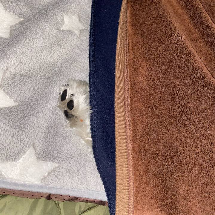 E566e01e 4863 4054 ba28 871ae4254680 1606329368393