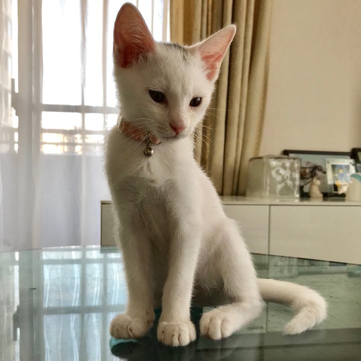 E566f088 afb4 45a9 a8a4 0cbf8aca7d71 1566634173568