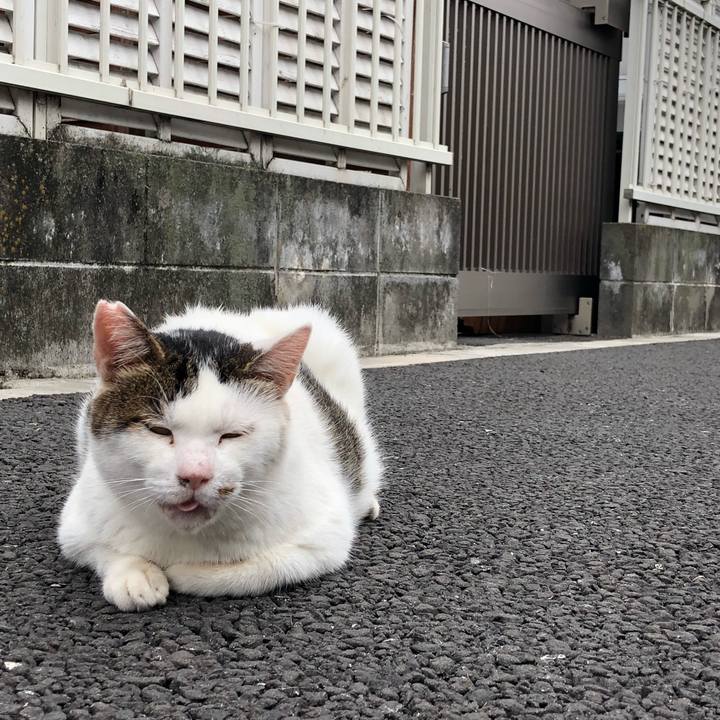 E566ff2b 8d33 4046 94ab e593380aab3f 1538570006032