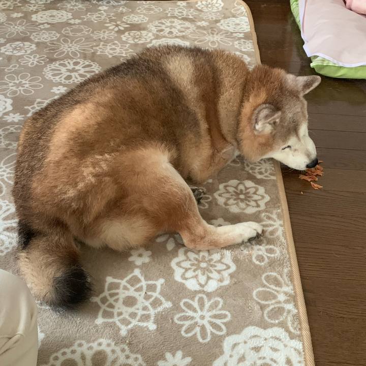 E5671a8f 077e 402f 8d1f 283dd247ea6b 1661293826535