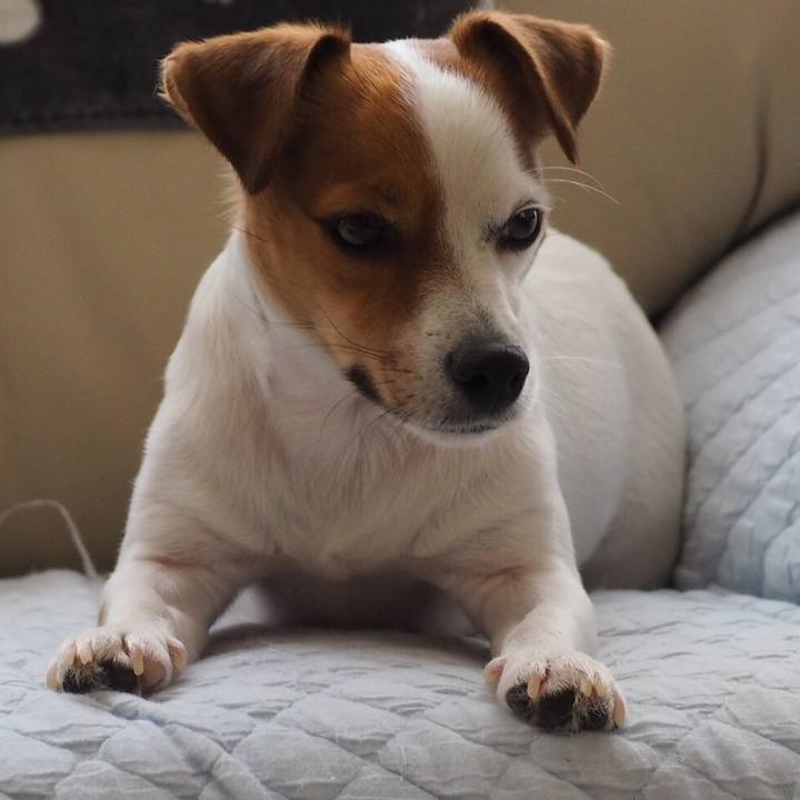 E56739b4 73e9 4c4e 8018 0a2e519c8a8a 1515217593748