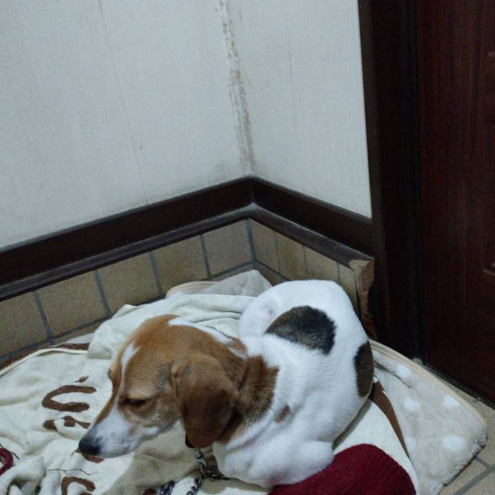 E567828e 818b 4a48 988c 5d24f03a04ae 1576412122346