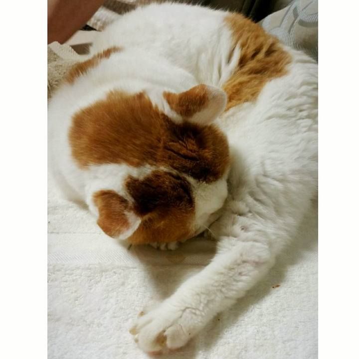 E567886d 080d 4d88 90c0 0b2dd05f37ba 1533380457644