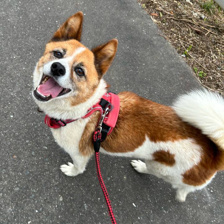 E567a3c1 ee56 467f b81d c3d62478b503 1759865212579