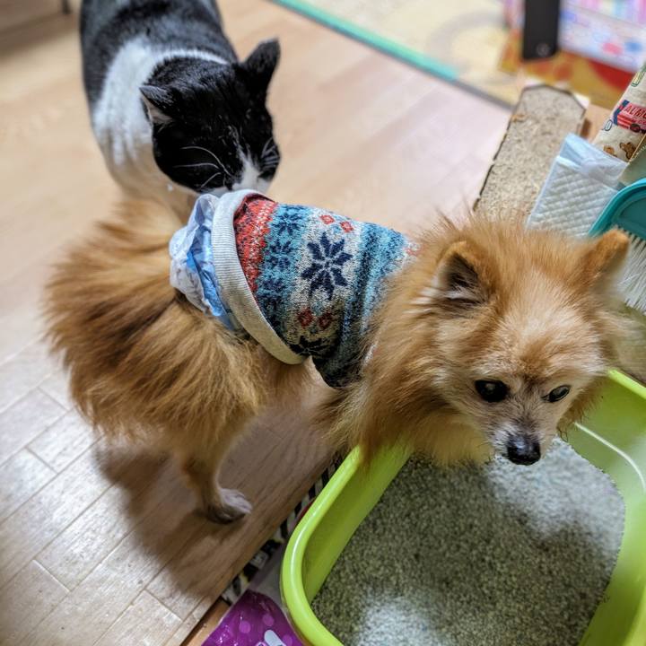 E567ccd3 e7a2 422c ad0e 189ef5185d0a 1711922672465