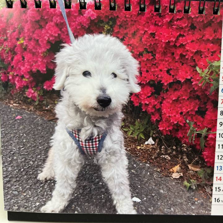 E567df73 3049 44b8 97d9 01e417fd0cb9 1684247548533