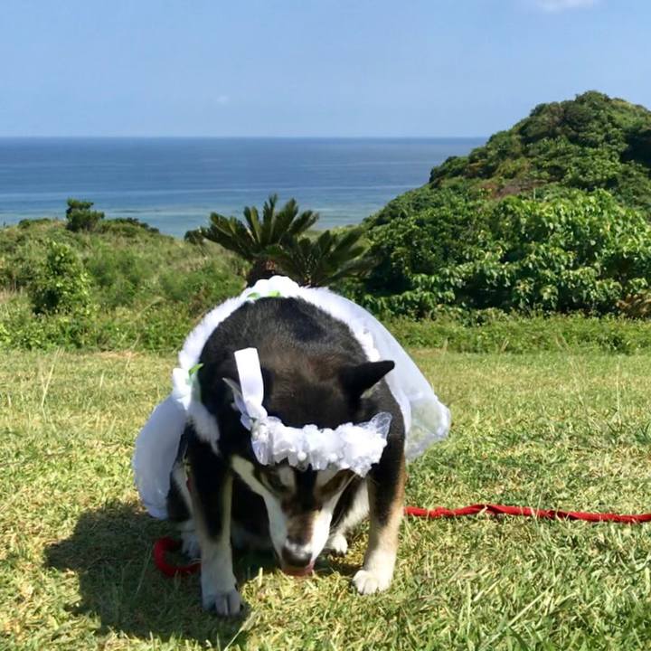 E567f2c0 1ded 44bb 9b6f 94628b40c4a2 1527558247942