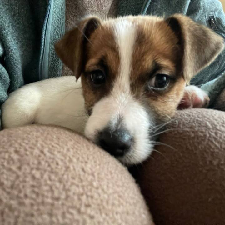 E567fc7f 4e32 45d2 914c 9f30a13166fe 1616202309880