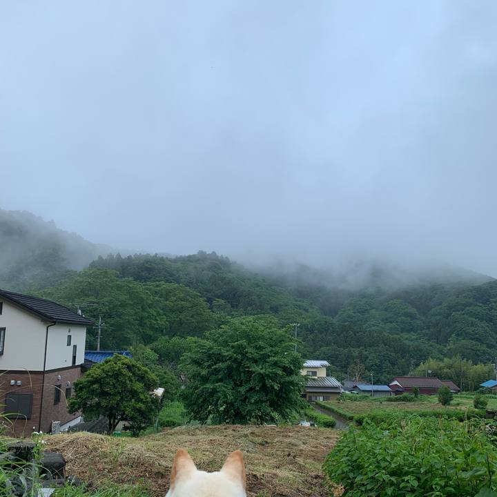 E56812a3 222b 4352 9e68 09c83e14bb4a 1559078983842