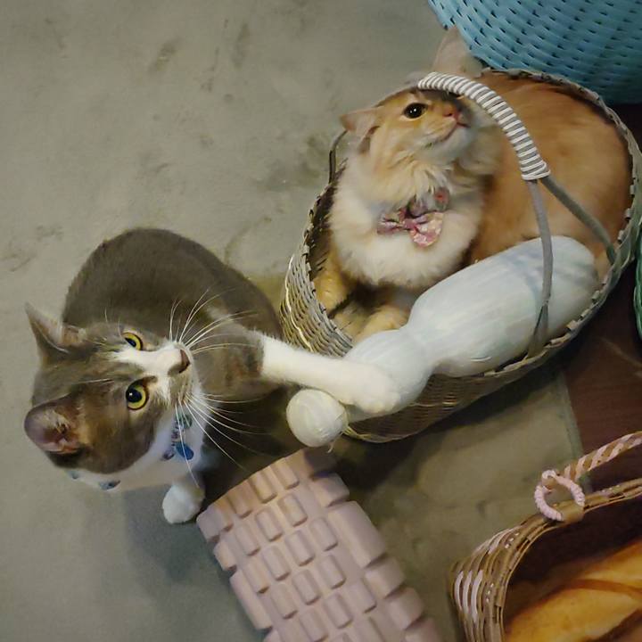 E56848a0 5fd1 4304 8ddb 520adb4ad181 1666618700810