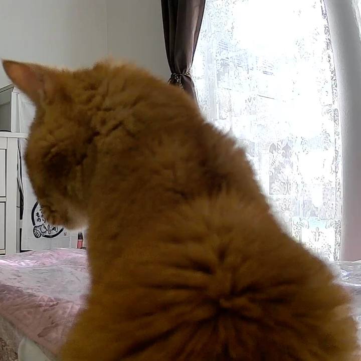 E5686bdd 71ab 4d58 9ddf 9c271dbe4c5f 1769133706047