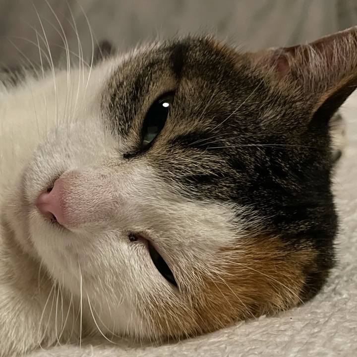 E5689371 46fd 4c59 b552 889e4613801f 1642247288115