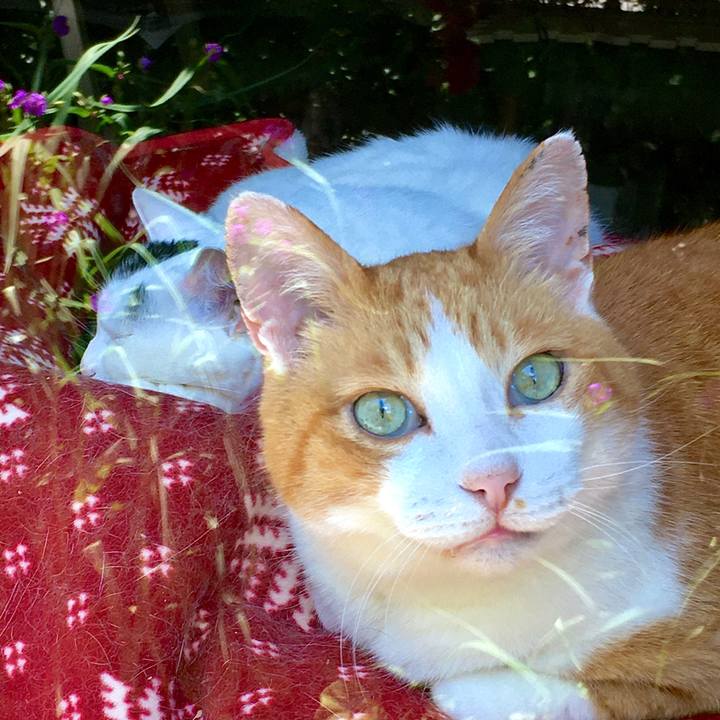 E568abf3 fe3e 4965 8e75 a967b60657db 1590808236965