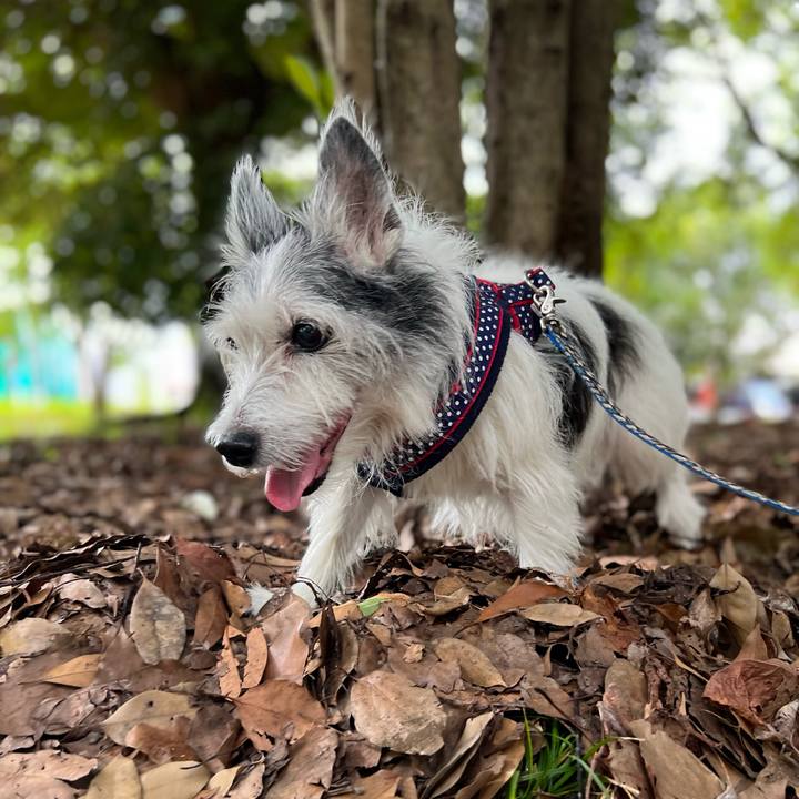 E568ac04 6851 4c36 92e2 fc247cbfb722 1661087905103