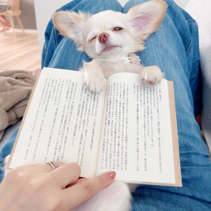 E568b9f7 6e2b 4424 8aae 80e32e77acd3 1689664970841