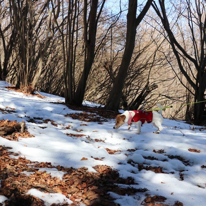 E5690608 b2ee 4dfc 969c 02867d65dfd2 1518863022322