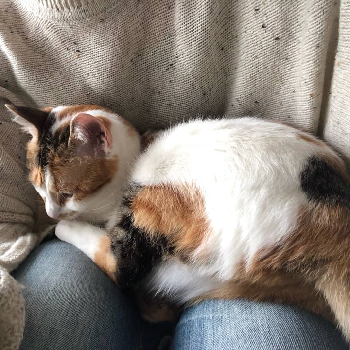 E5690c32 f31a 419e a1b7 fe3c9930034e 1585369803999