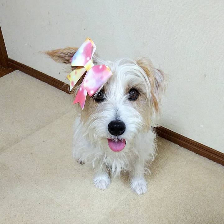 E5692c3c f16d 4d6b bd2c 46be948323c1 1570103100690