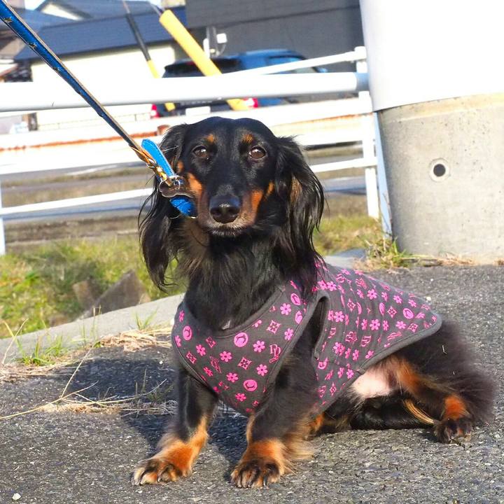 E5695673 54f8 44bb a21f ee53dd852f65 1510534345347