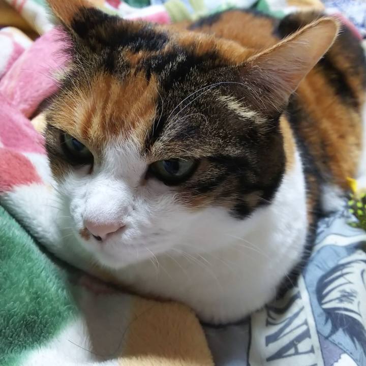 E56976b1 03a3 41d6 8e8e 25bd720c49b5 1571575928829