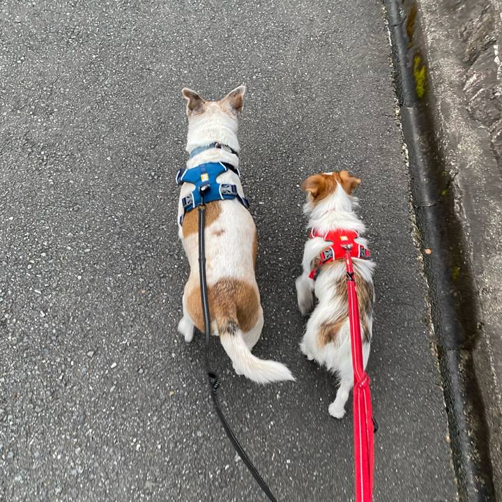 E5698797 65ea 42f7 b7aa 019460362213 1639090162165