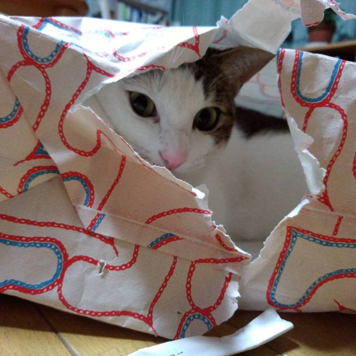 E56a67ae 94cc 4d94 9a61 2ba9db561975 1673233061102