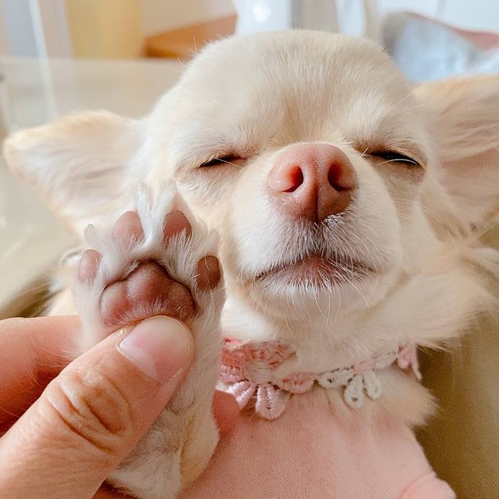 E56aac38 f424 4359 8afd 4431c80e9a9d 1615285429784