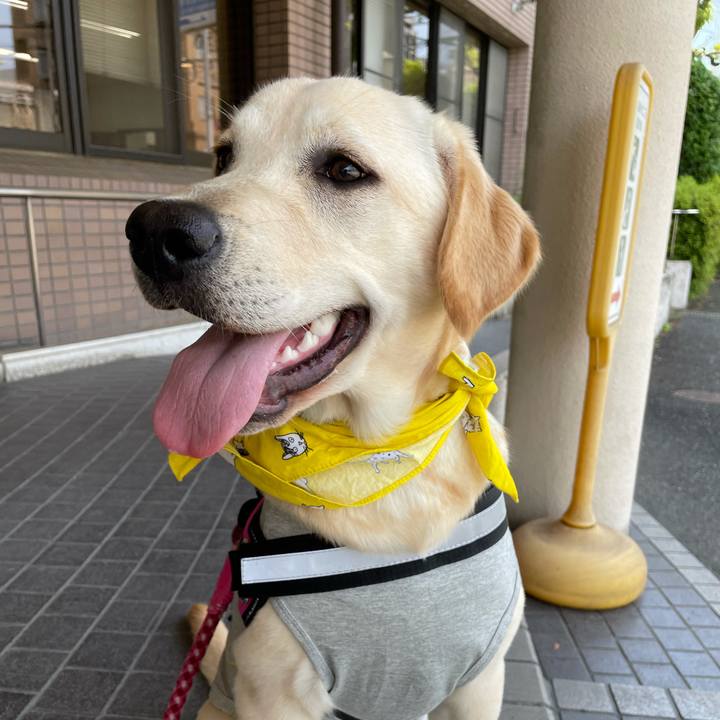 E56ac0f5 c66b 40cb 964c e4a16d77481a 1623061849234